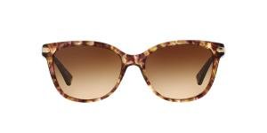 COACH 0HC8132 Brn Mlt Brille Multi