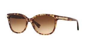 COACH 0HC8132 Brn Mlt Brille Multi