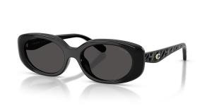 COACH 0HC8443D 500287 Brille Black