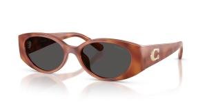 COACH 0HC8462U 577487 Brille Other