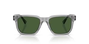 POLO RALPH LAUREN 0PH4252U 631771 Brille Other